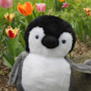 Meet your Posher, Joanne